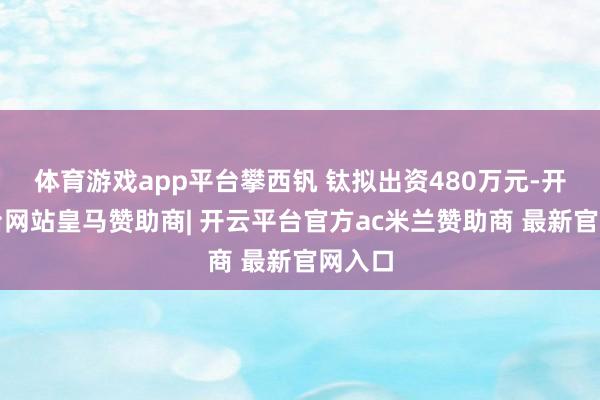 体育游戏app平台攀西钒 钛拟出资480万元-开云平台网站皇马赞助商| 开云平台官方ac米兰赞助商 最新官网入口