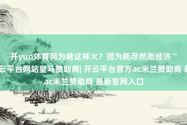 开yun体育网　　为啥这样火？因为耗尽然而经济“发动机”-开云平台网站皇马赞助商| 开云平台官方ac米兰赞助商 最新官网入口